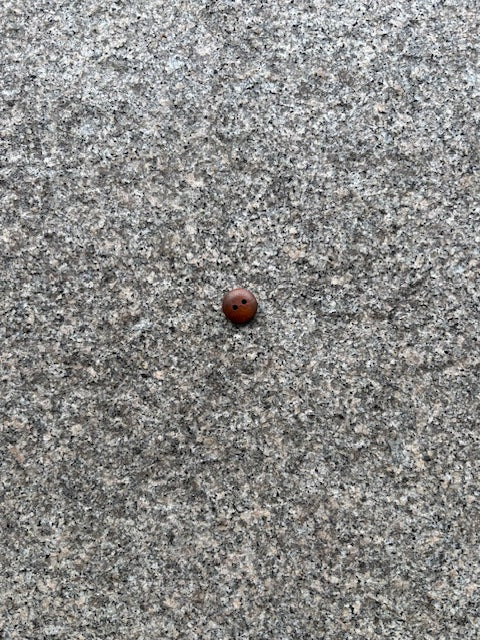 Knapper - Træ mørk - 13 mm