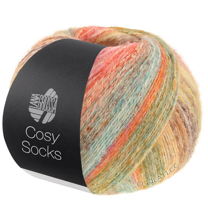 Lana Grossa - Cosy Socks Dream