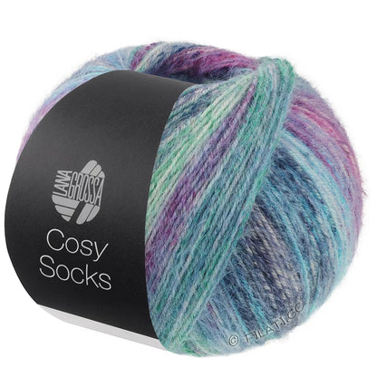 Lana Grossa - Cosy Socks Dream